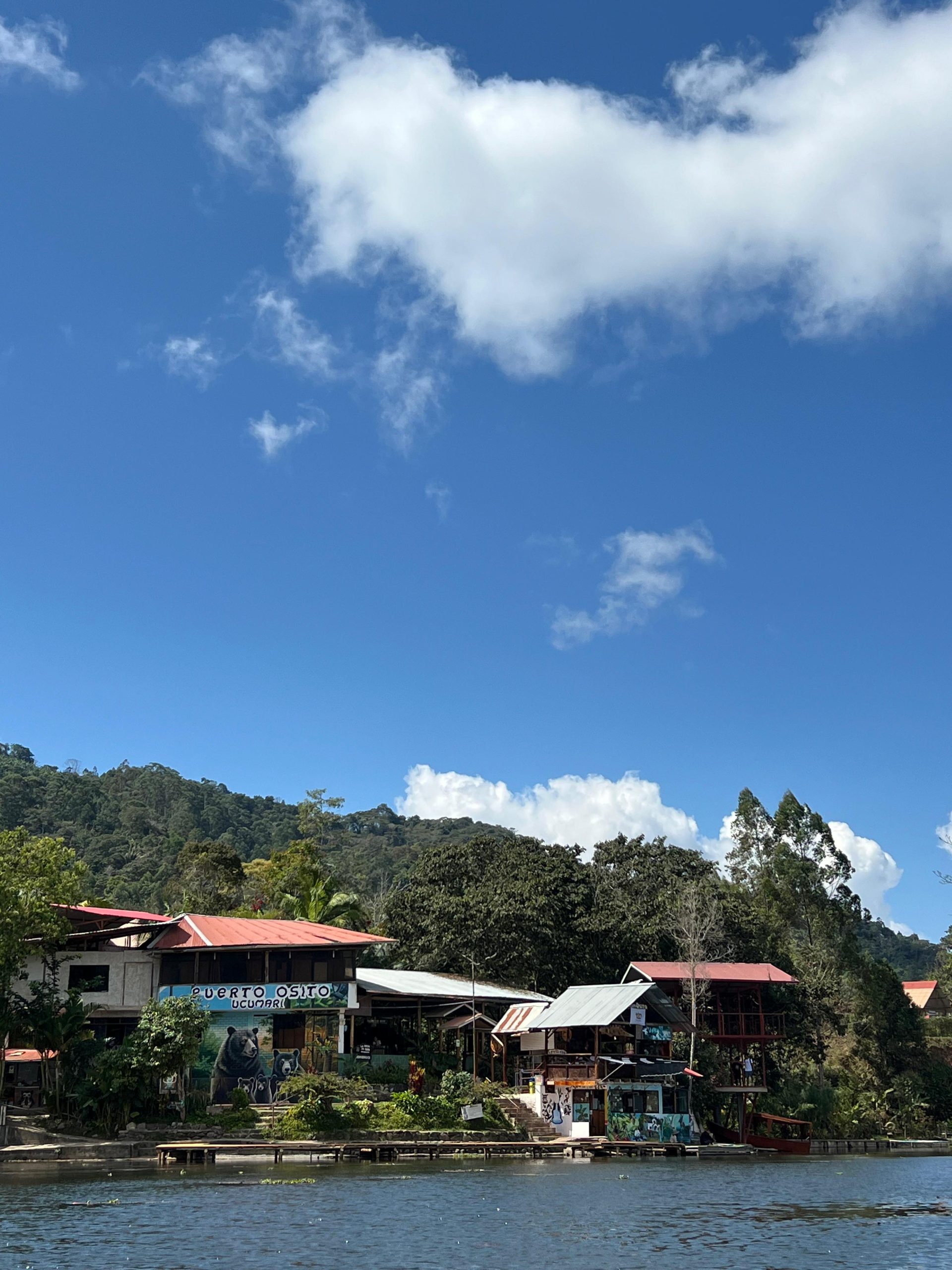 Puerto Osito Ucumari: El Mágico Rincón de Villa Rica