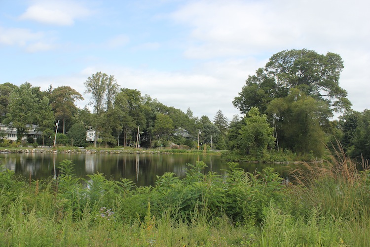 Larchmont Gardens Celebrates New Duck Pond