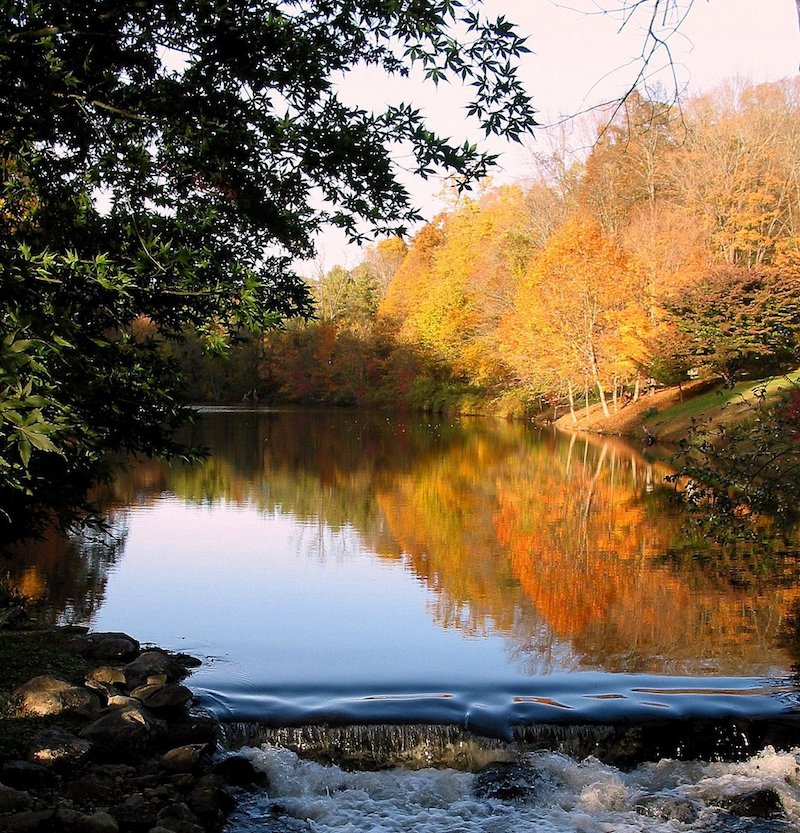 Today’s Snapshot theloop