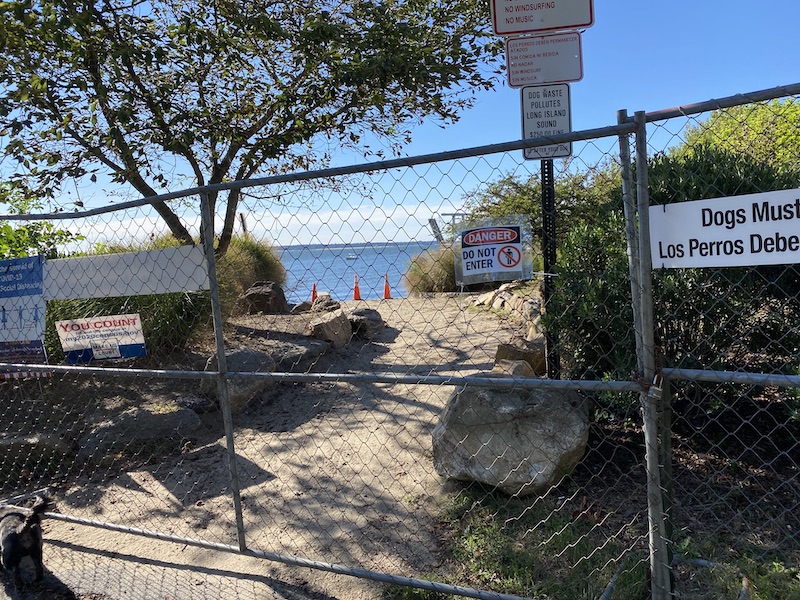 Larchmont's Dog Beach Now Open theloop