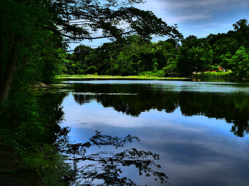 Today's Photo Sheldrake Lake theloop