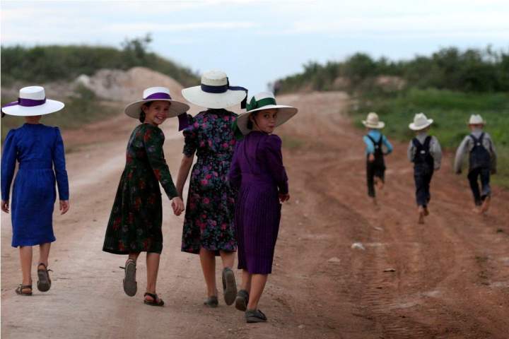 Yalnón, la comunidad menonita en Hecelchakán, Campeche Los menonitas no solo se afincaron en Chihuahua. Te contamos la historia de una comunidad que hace 30 años escogió Yalnón para vivir, en el estado de Campeche.  https://larevistadelsureste.com