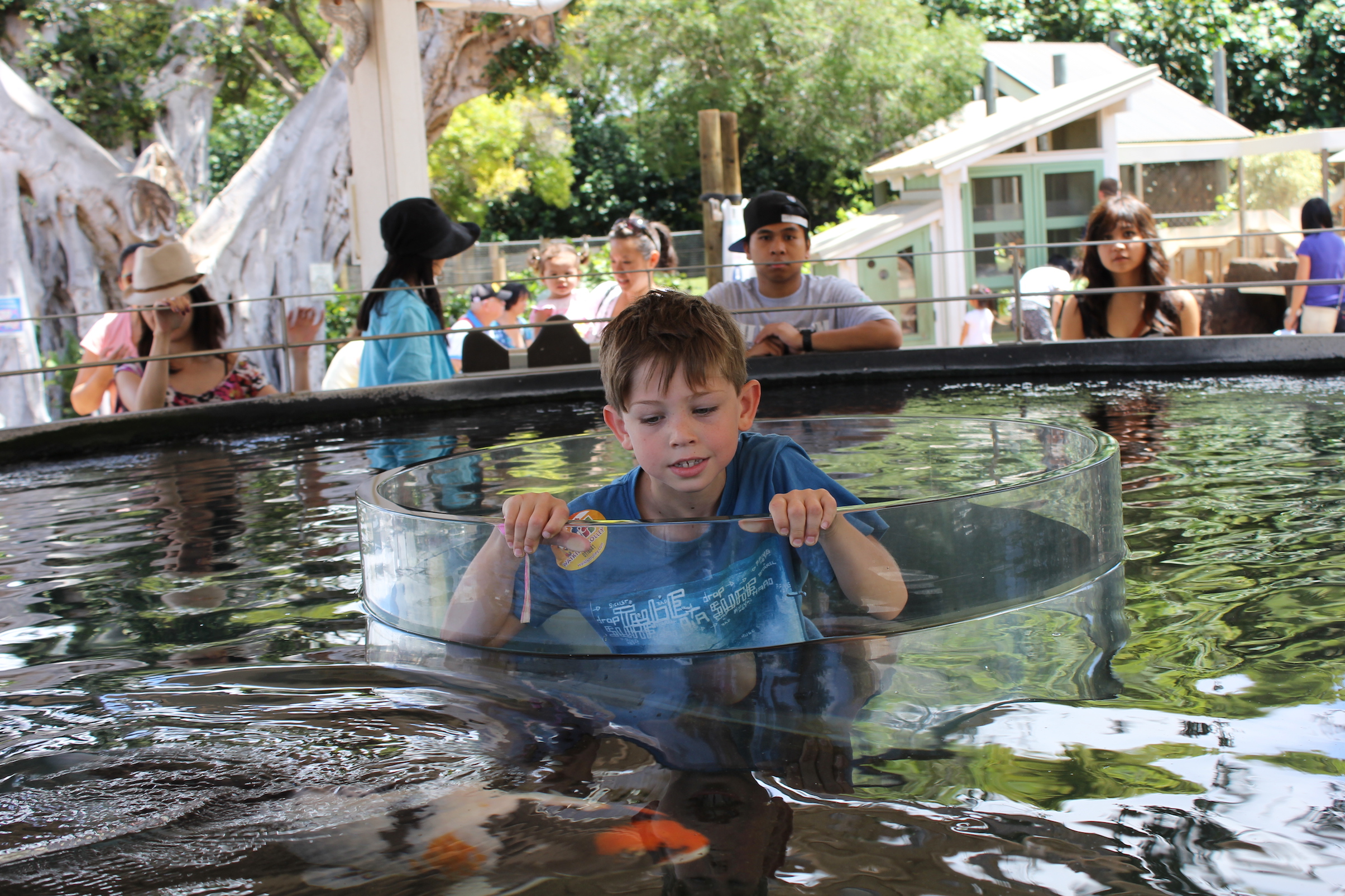 DAY 4 Destination Oahu, March 2013