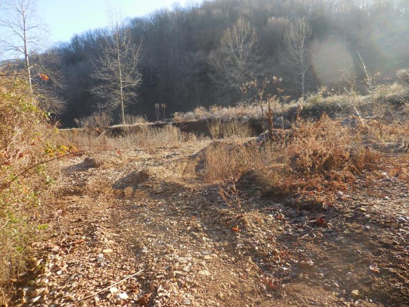 00 Langford Hill Rd., Gainesboro, TN 38562 Large Land Tennessee