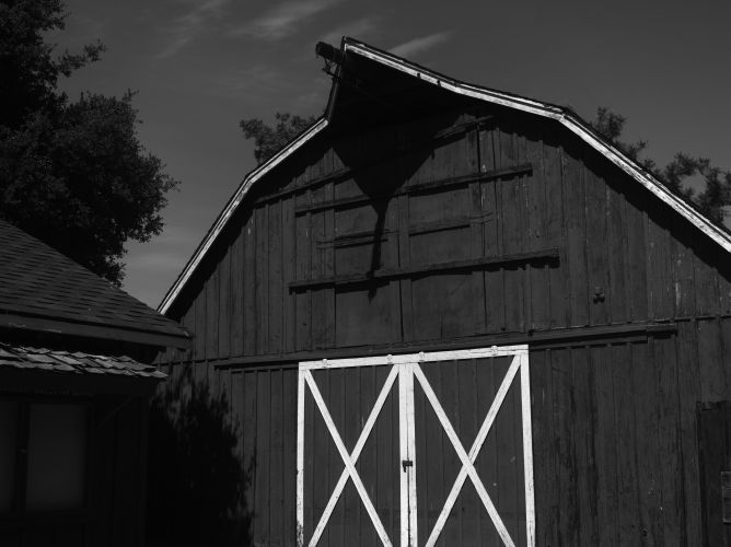 Return to McClellan Ranch Preserve largesense