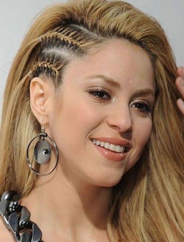 87 hermosos y elegantes trenzas laterales » Largo Peinados