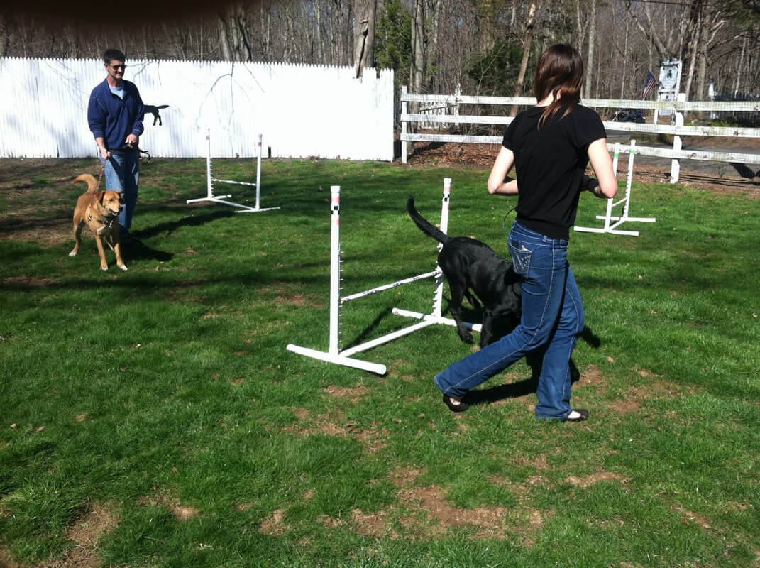 Pet Training Classes in Durham & Shoreline, CT Larkin's Run