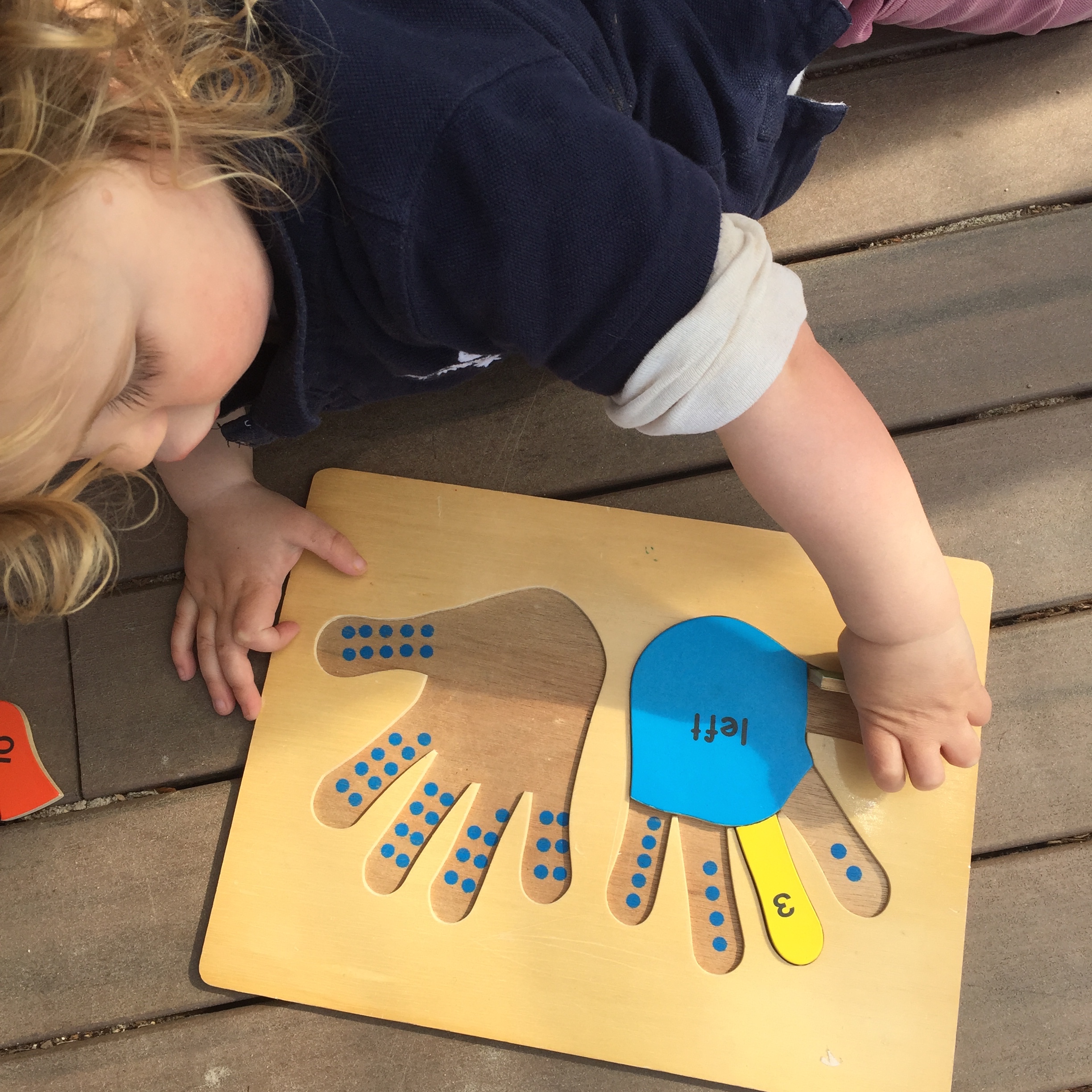 Waimea Heights Primary School The Poppy Files