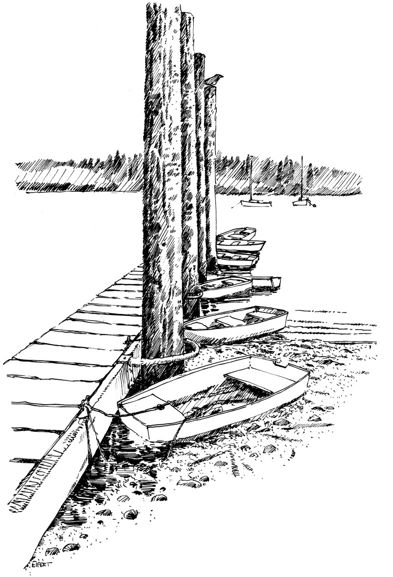 The Artist’s Eye in Mats Mats Bay The Art of Larry Eifert