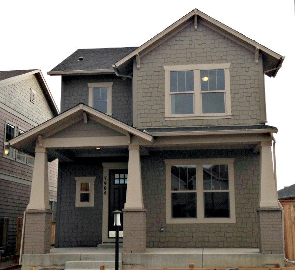 Brand New Stapleton Homes By David Weekely