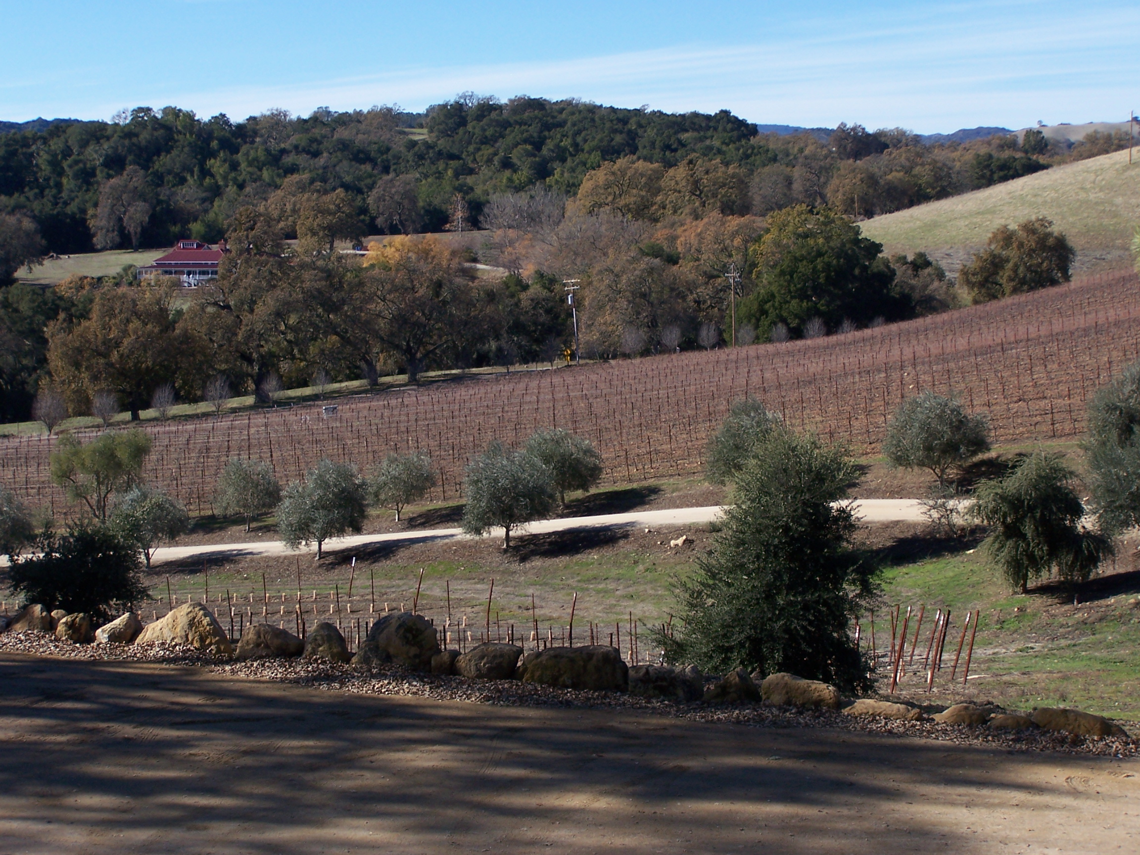 Jada Vineyards Larry Martel
