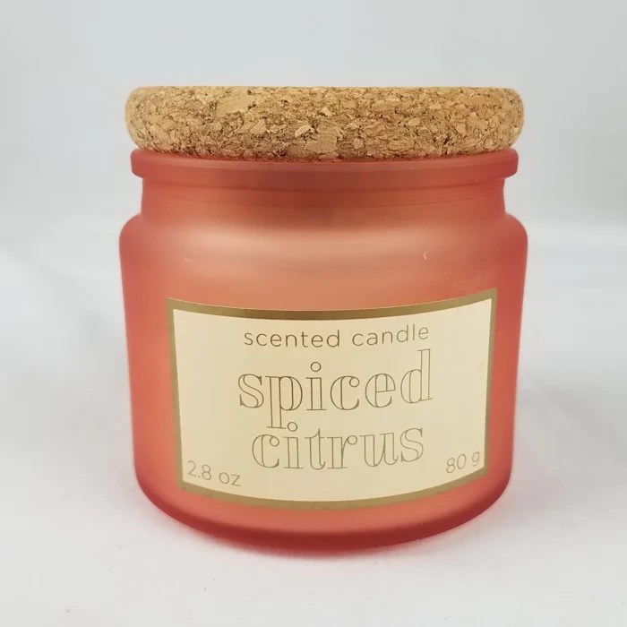 Target Bullseye Playground 2023 Christmas 2.8oz Scented Jar Candle