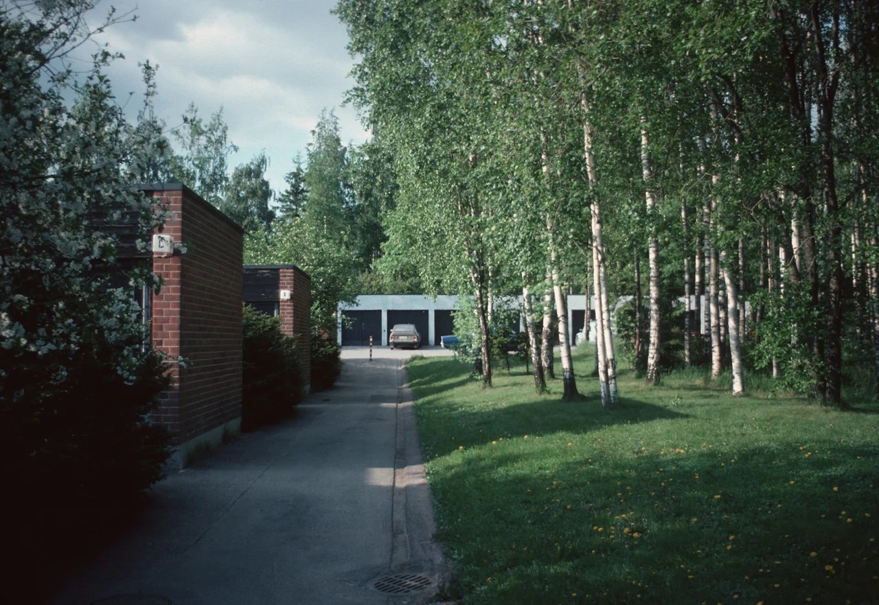 Chain House Larry Speck