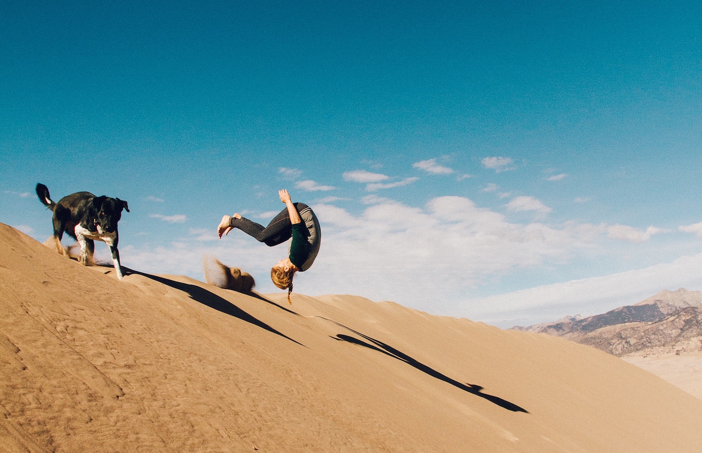 Warum Agilität oft missverstanden wird Ein Blog von Lars Inselmann