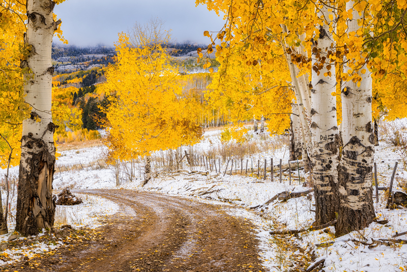 Last Dollar Road Fall Foliage Lars Leber Photography