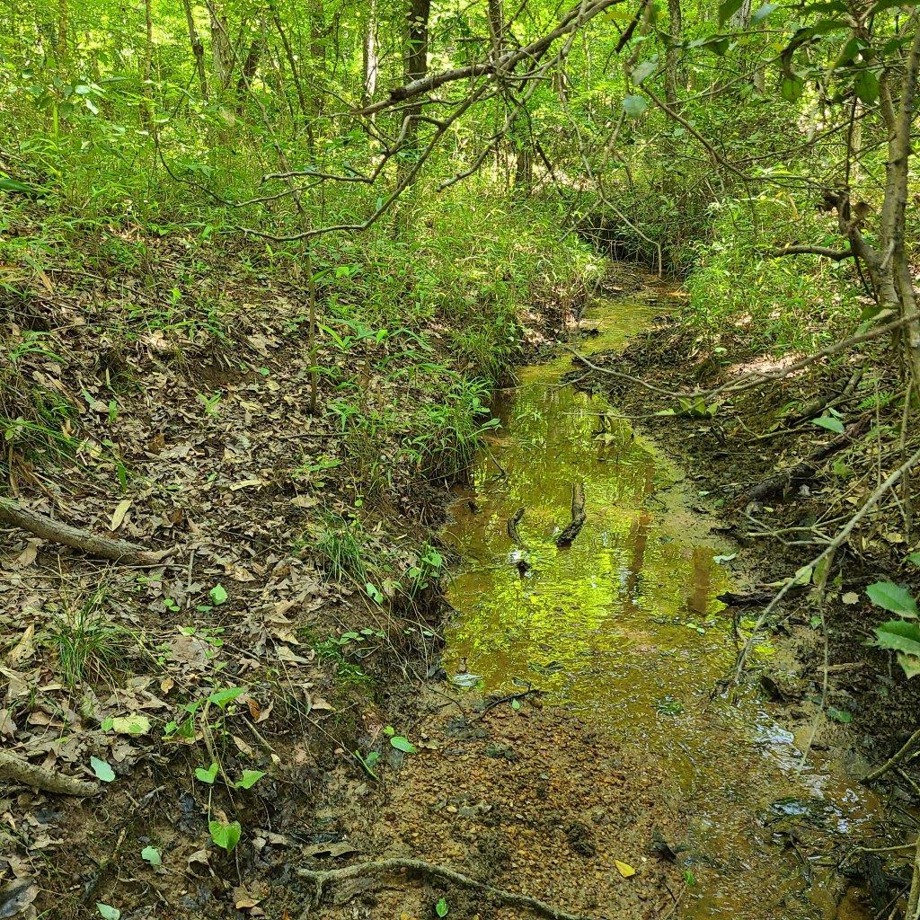 Hatchett Creek Tract