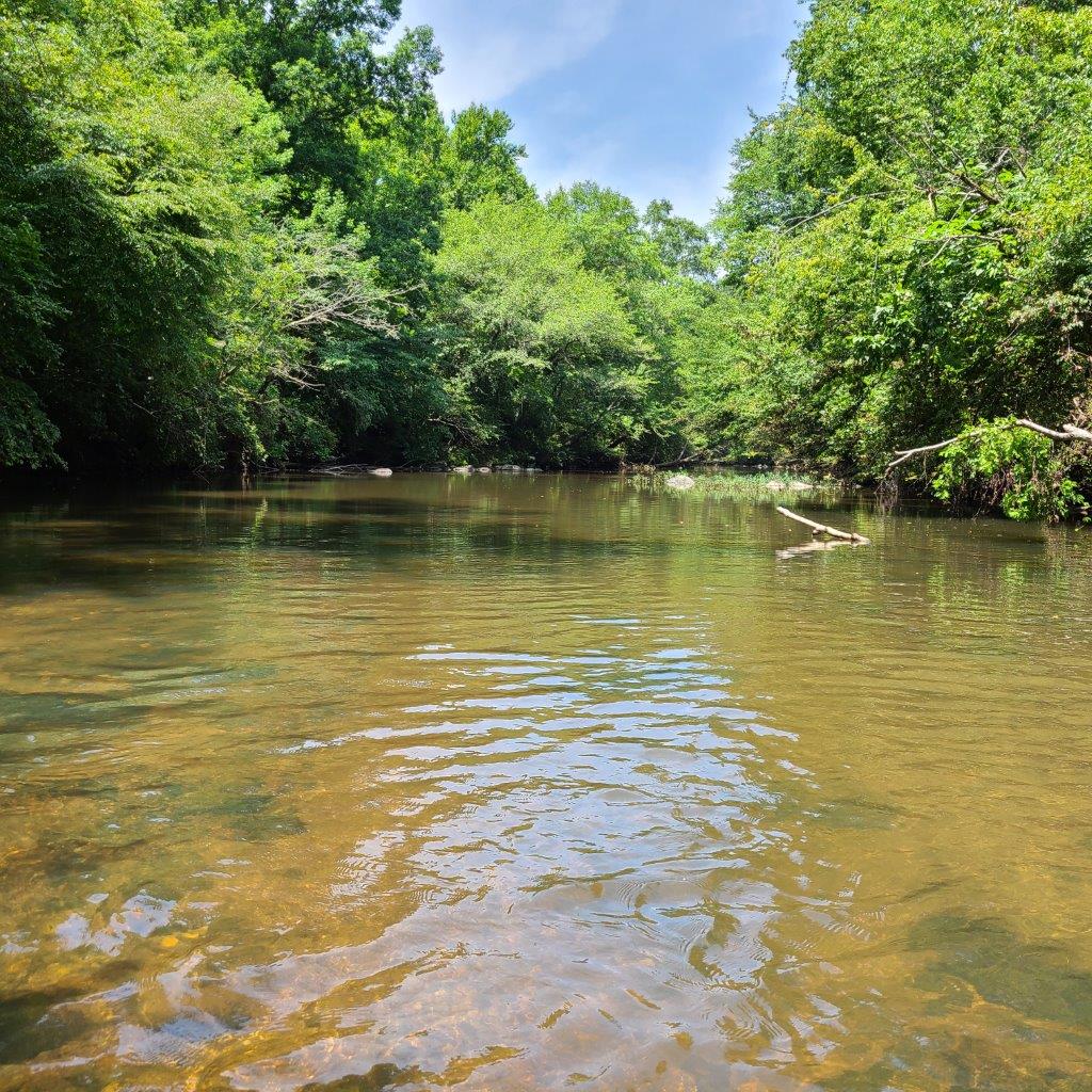Hatchett Creek Tract