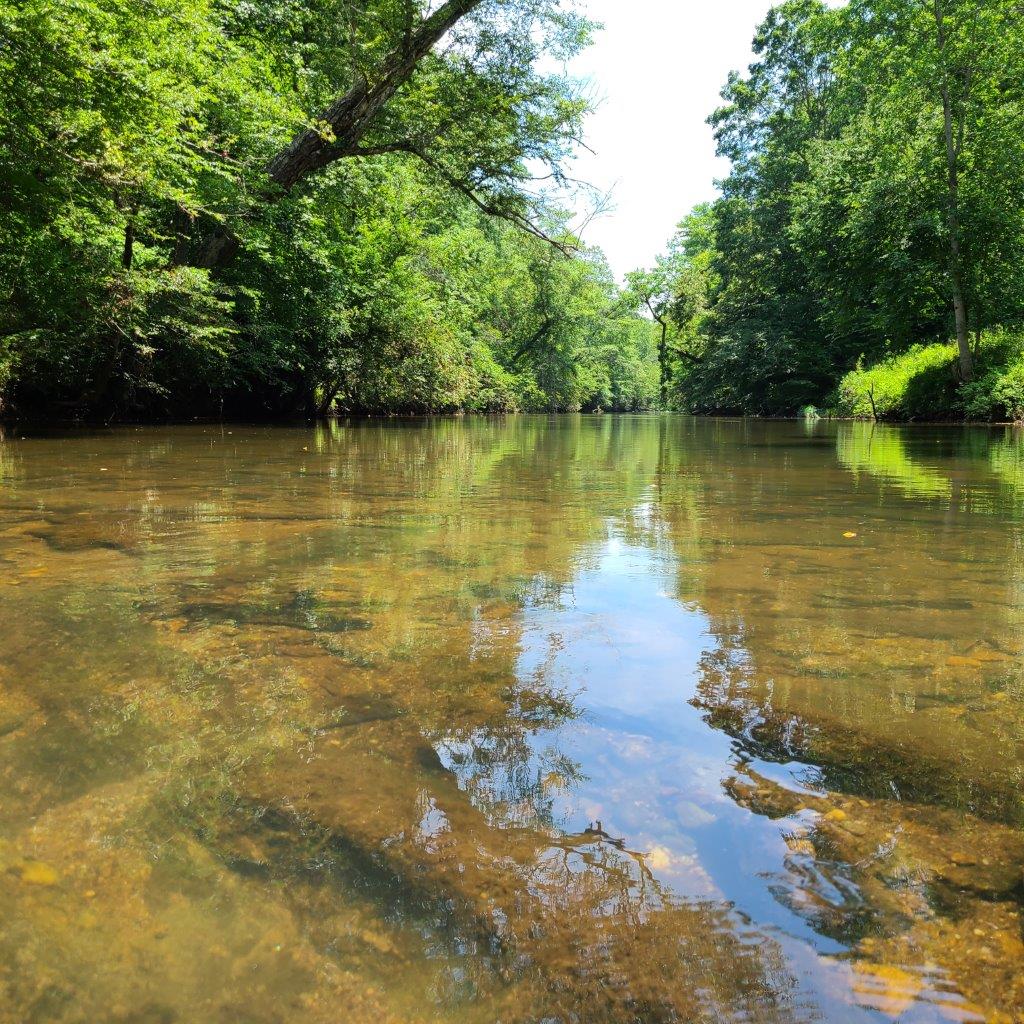 Hatchett Creek Tract