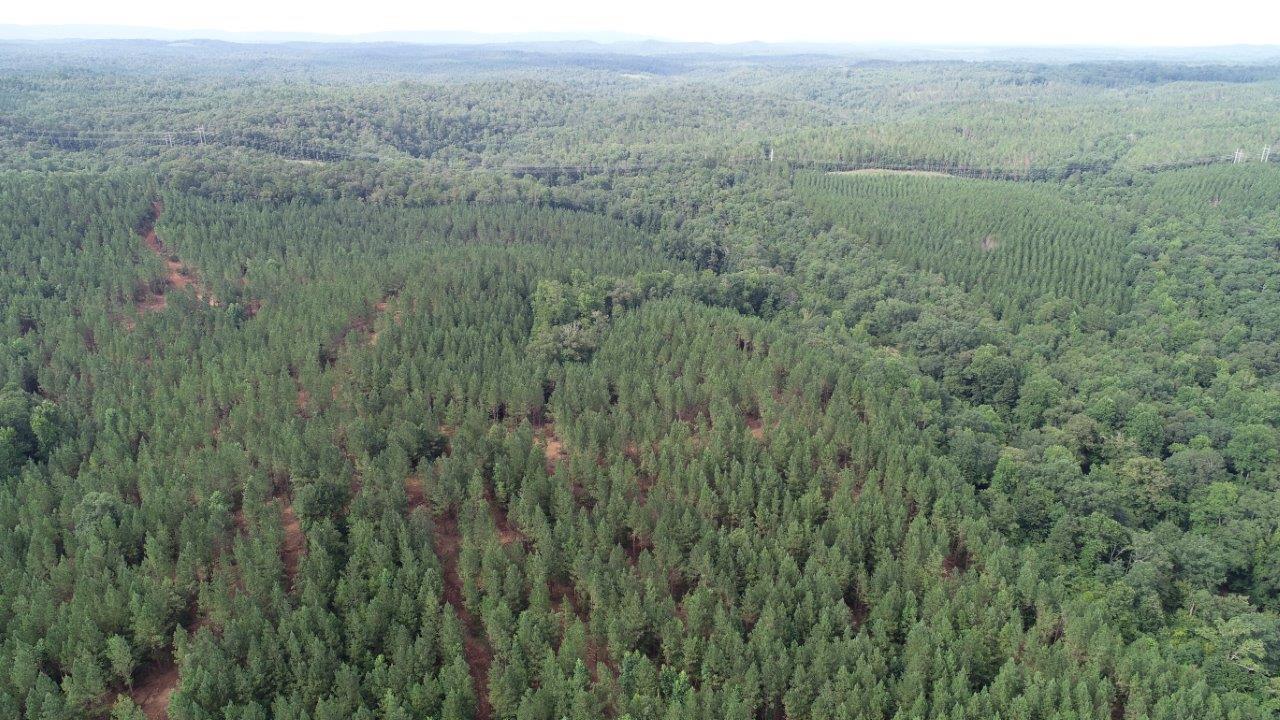 Hatchett Creek Tract