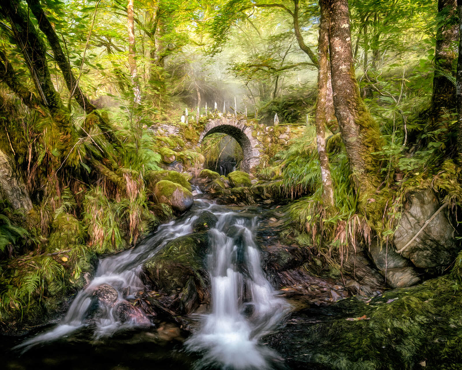 Fairy Bridge — Lars van de Goor