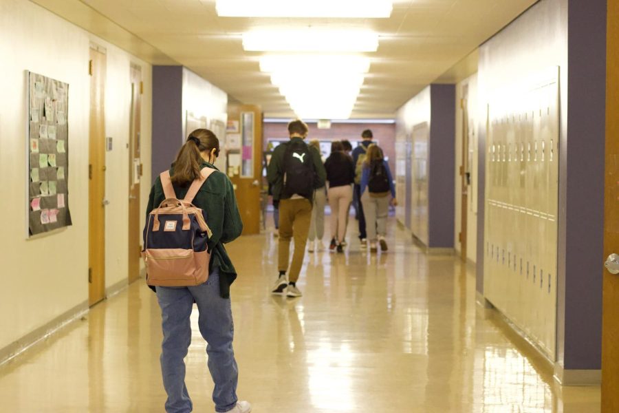 The High School Experience A Personal Reflection The La Salle Falconer