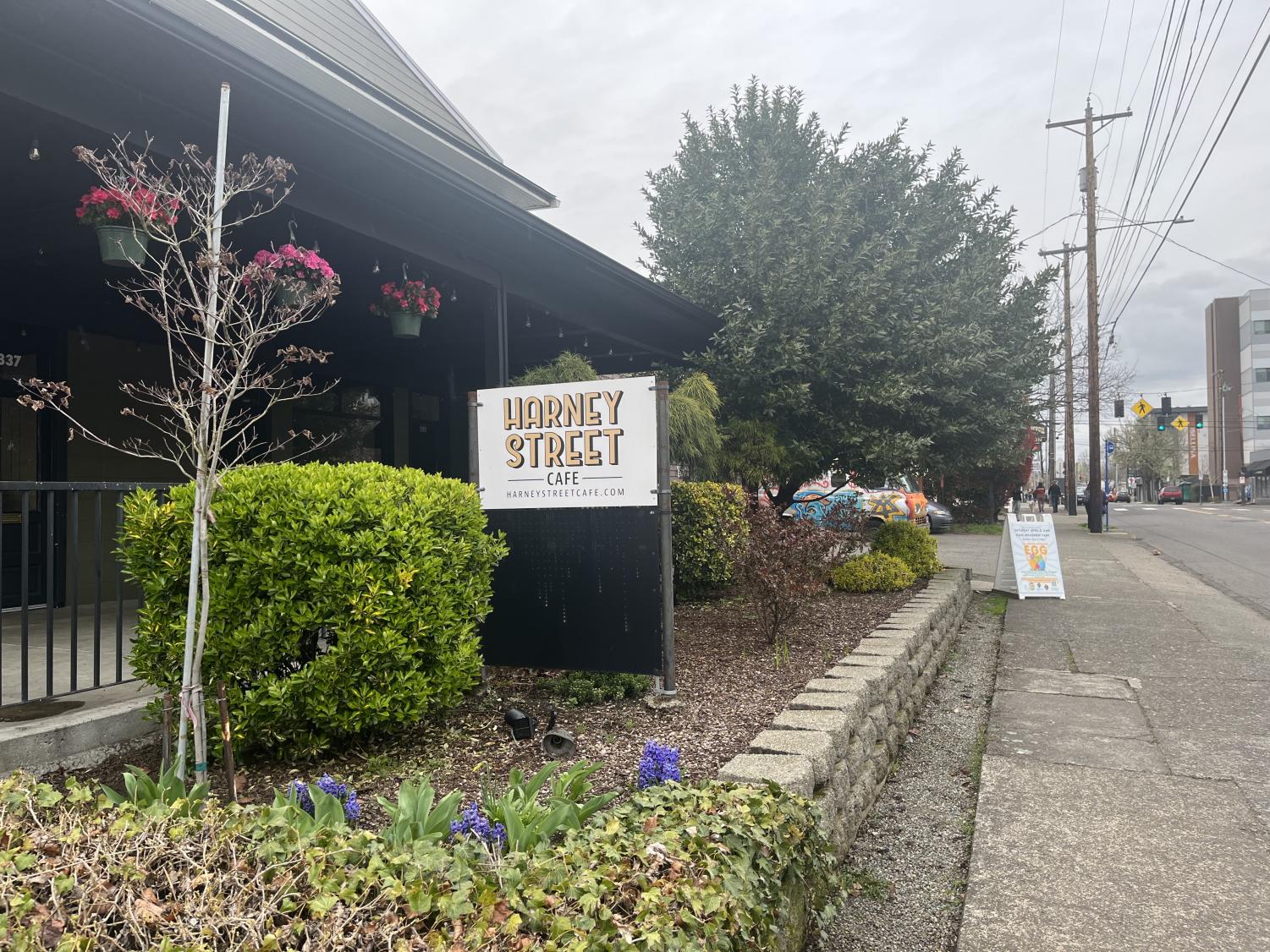 Four Falcons Share Their Experience of Balancing a Job During School