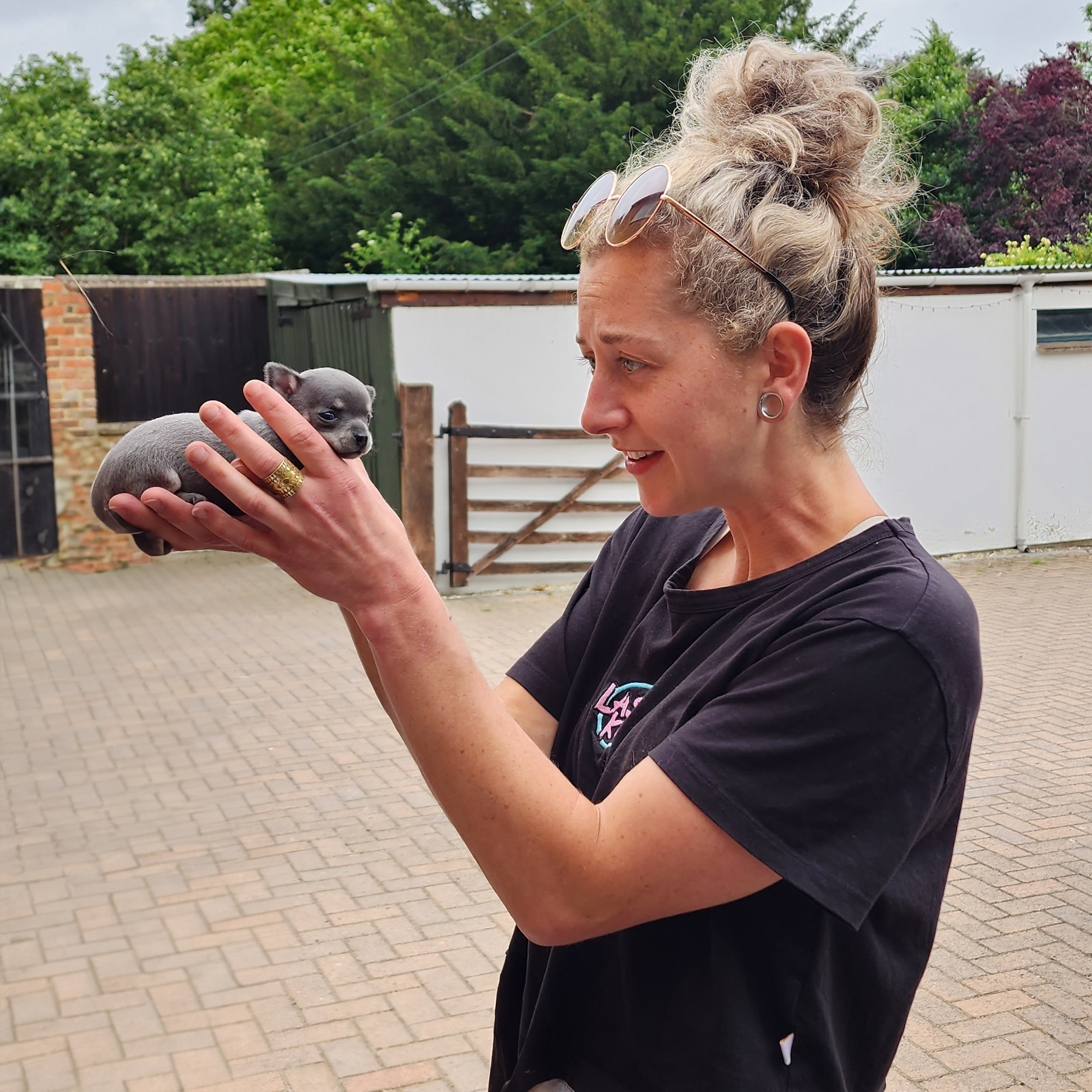 Laser Kiwi Embroidered ONE LEFT Laser Kiwi