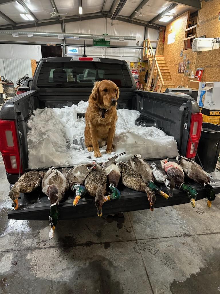 27 Acres, Lincoln County, Hershey South Platte River Wildlife Lashley