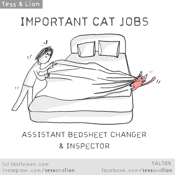 Cat Jobs Last Lemon