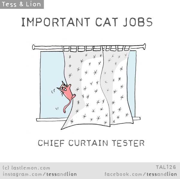 Cat Jobs Last Lemon