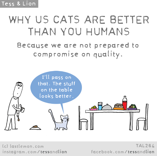Why Us Cats Are Better Than You Humans Last Lemon