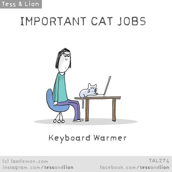 Cat Jobs Last Lemon