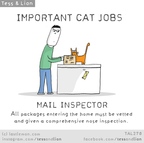 Cat Jobs Last Lemon