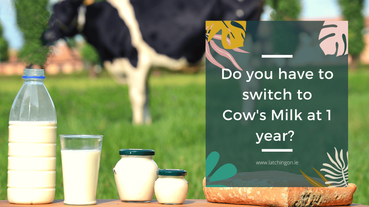 Do I have to switch to Cows milk at 1 year? Latching On Lactation