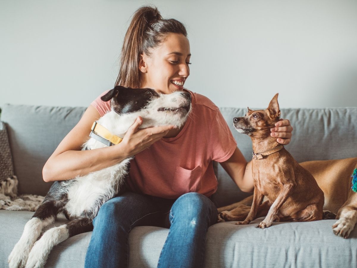 How To Keep Your Pet Sitter and Pet Safe Latchkey Pets