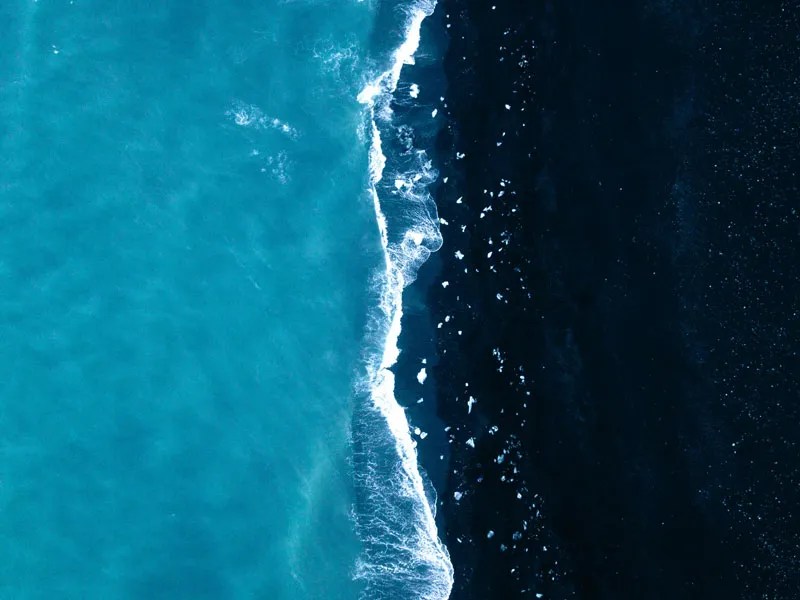 Les meilleurs poissons de fond pour maintenir un aquarium propre L