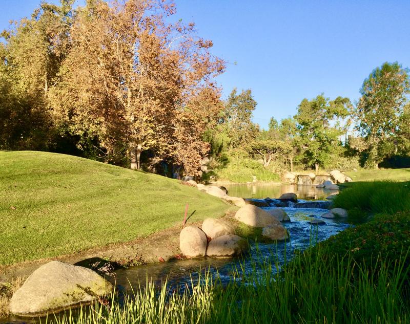 Lateral Hazard Urban Golf Apparel - ABOUT Lateral Hazard Golf ONLINE