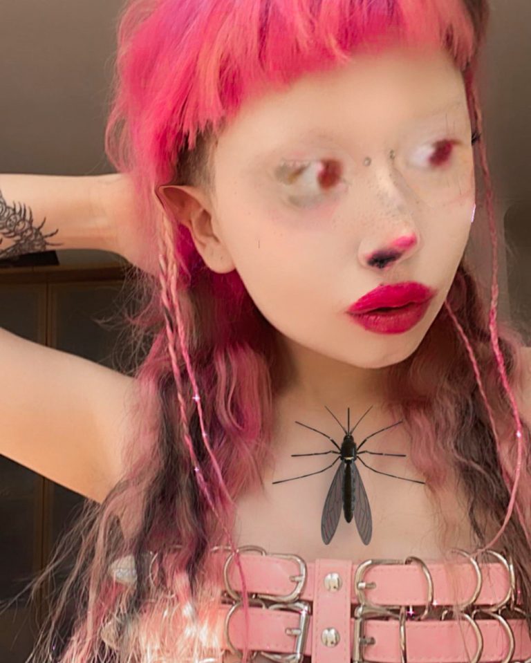 Jazmin Bean Age, Date of Birth, Merch, Without makeup, Nonbinary