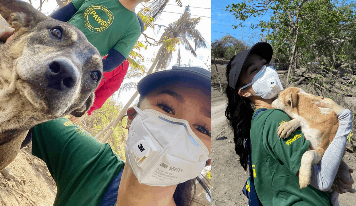 Heart Evangelista joins PAWS in rescuing animals affected by Taal
