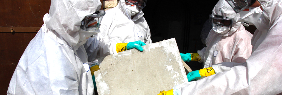 Asbestos Testing Services