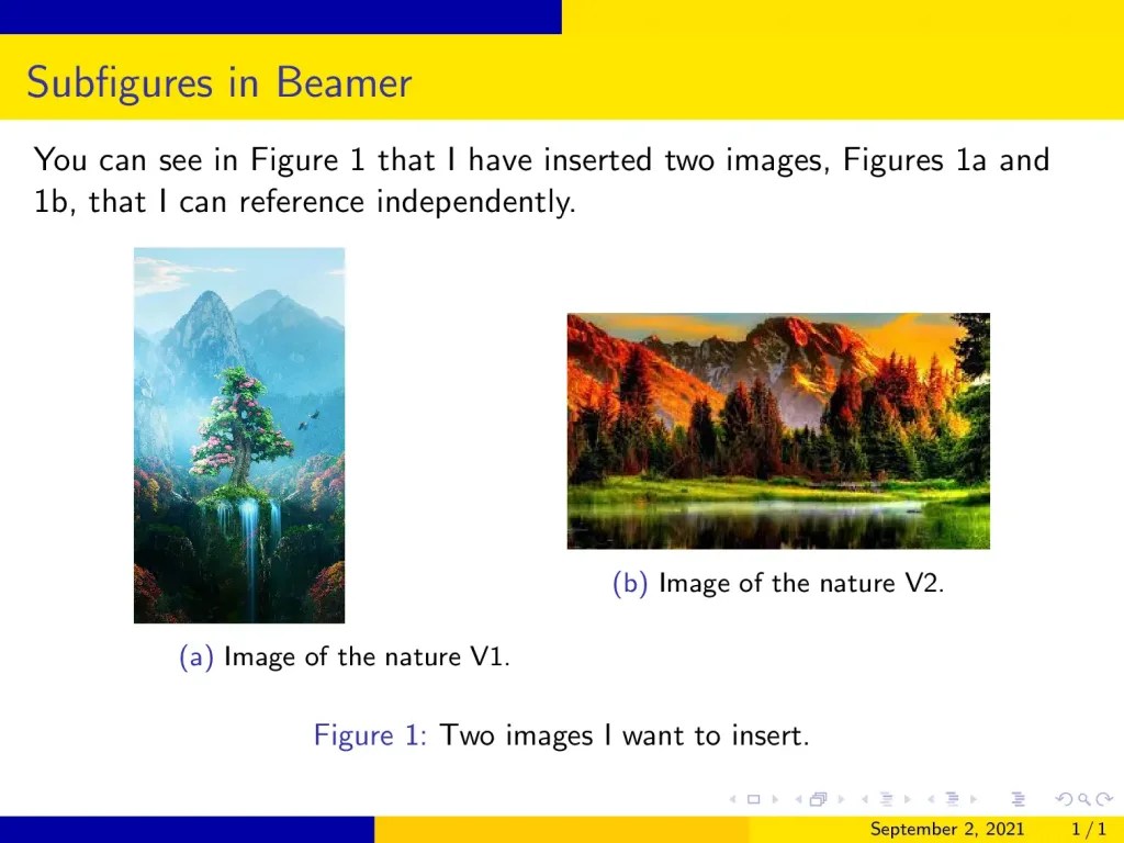 Figures in Beamer A detailed tutorial LaTeX Beamer