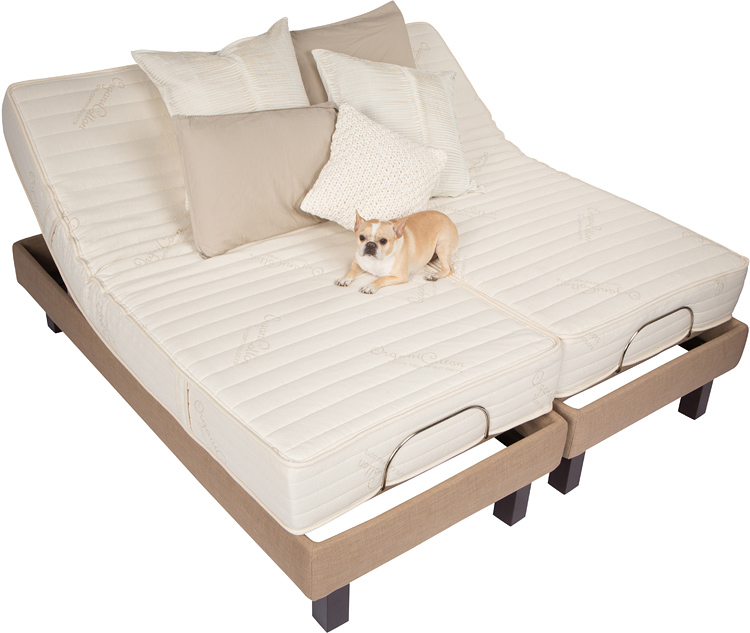 Dual Split King Adjustable Beds Cost Price in Phoenix AZ dawnhouse