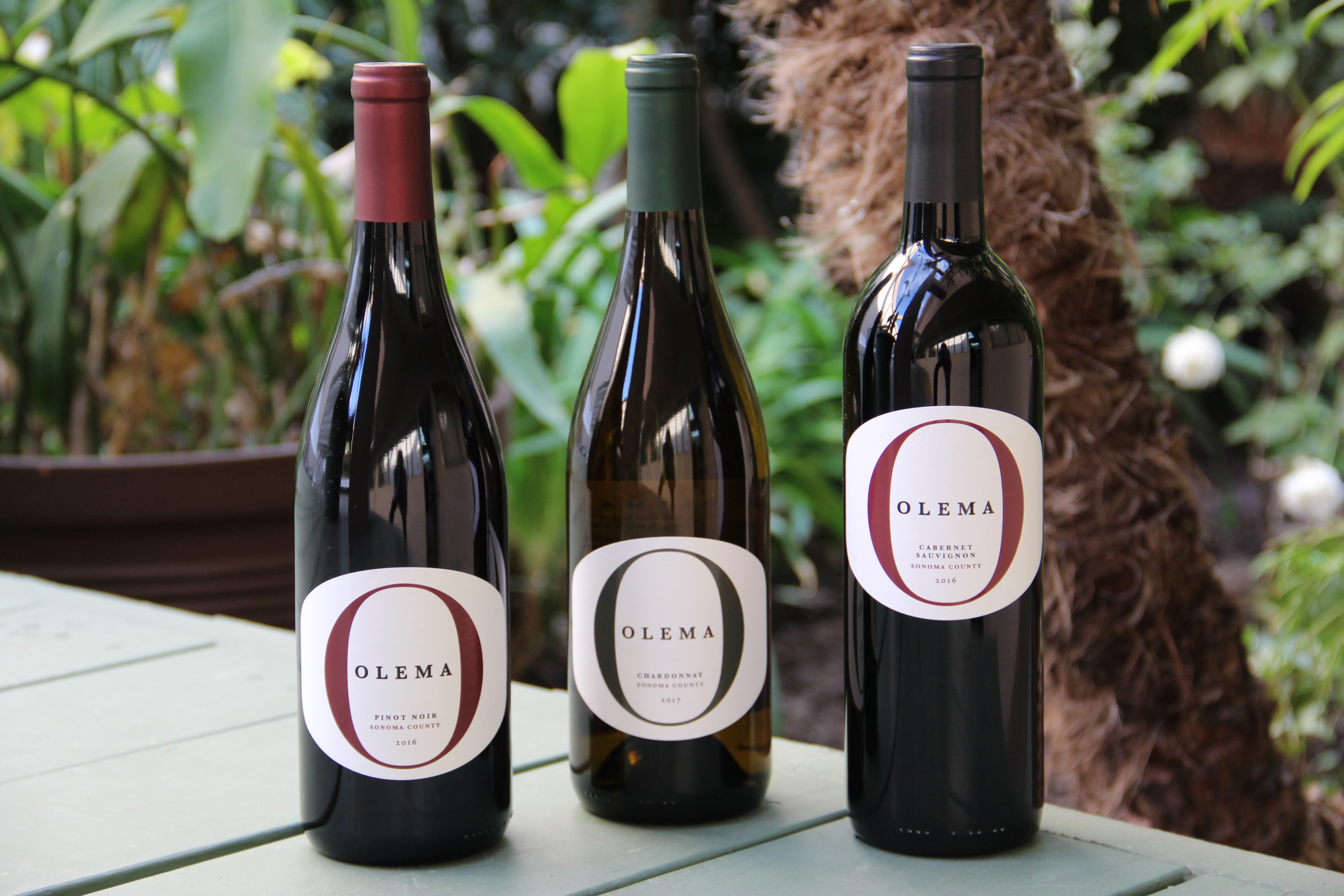 Wine Spotlight Olema Wines Pair Perfectly LATF USA