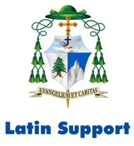 Latin Support CMS