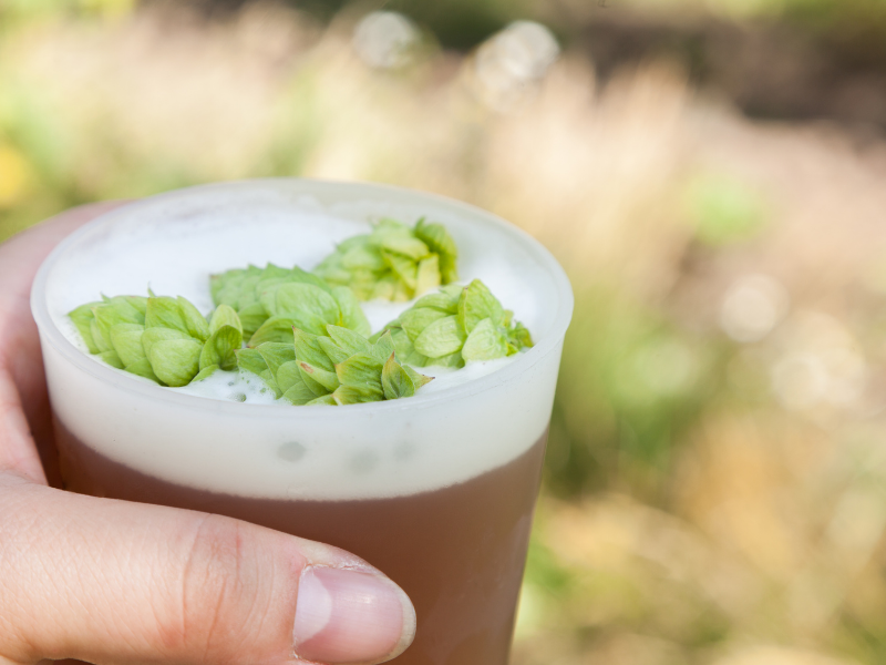 IPA, American IPA, Double IPA, NE IPA. Qual a diferença? Latitude Beer