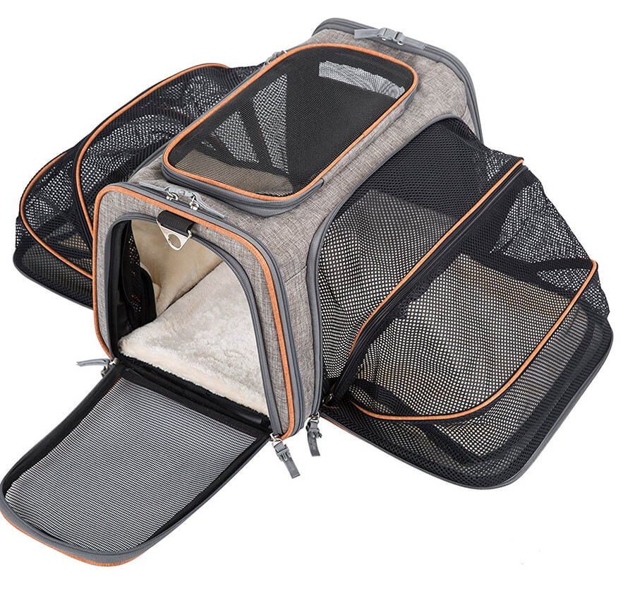 I 7 Migliori Trasportini per Gatti Classifica del 2023