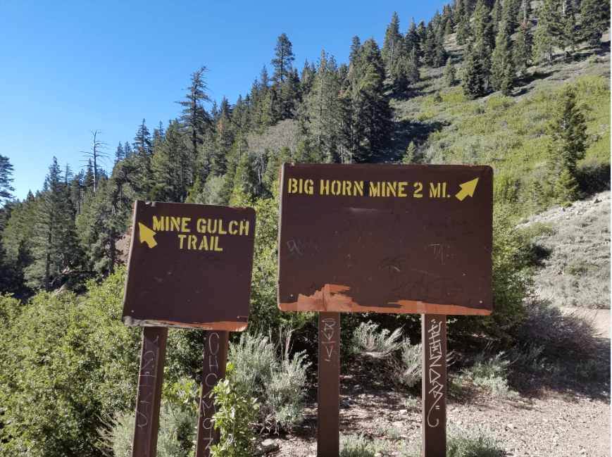 Big Horn Mine LA Trail Hikers