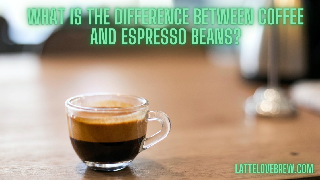 What Is The Difference Between Coffee And Espresso Beans? Latte Love Brew