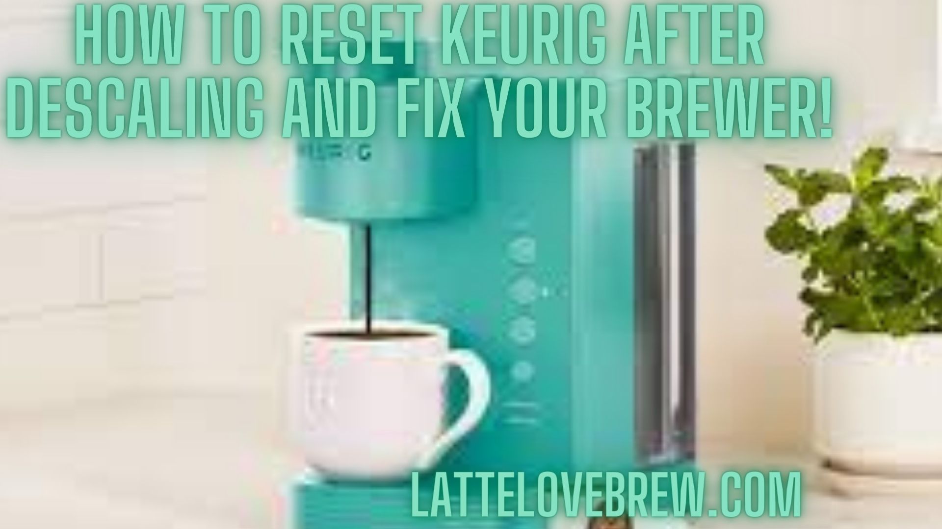 How To Reset Keurig After Descaling And Fix Your Brewer! Latte Love Brew