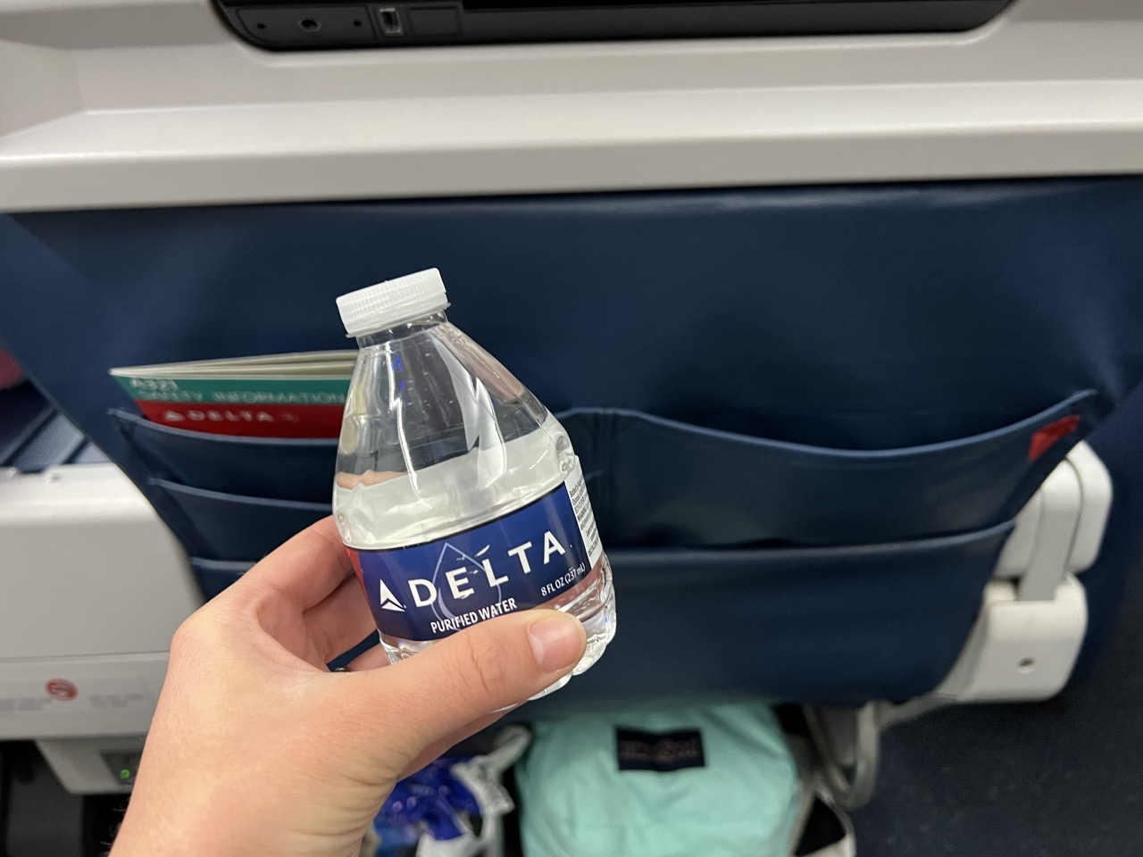 Delta First Class Review Domestic